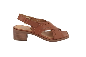 PERTINI CROHNA<br>MARRON