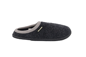 GIESSWEIN DANNHEIM<br>GRIS