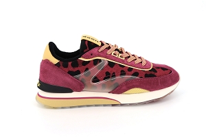 HOFF PINK LADY<br>ROSE