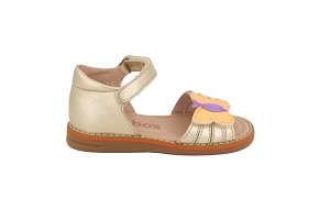 ACEBOS PAPILLON<br>DORE