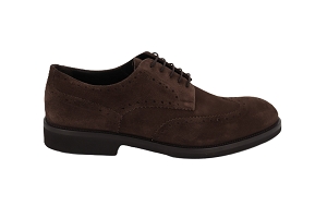 CERVONE H BUFALO<br>MARRON