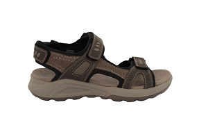 ROHDE BAROLINA<br>MARRON