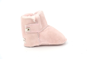 SHEPHERD BORAS 1385<br>ROSE