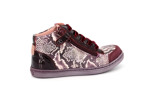 ASTER RISLE<br>BORDEAUX