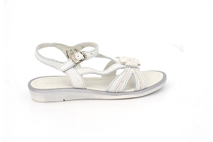 ASTER JOKARI<br>BLANC