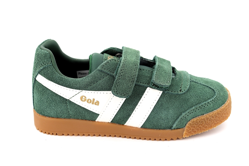 Gola  enf baskets harrier strap vert