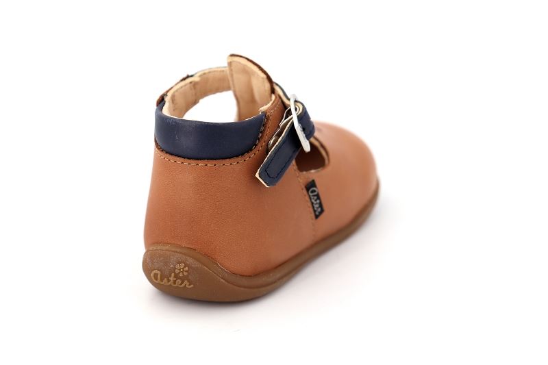 Aster babies odjumbo marron7019302_4