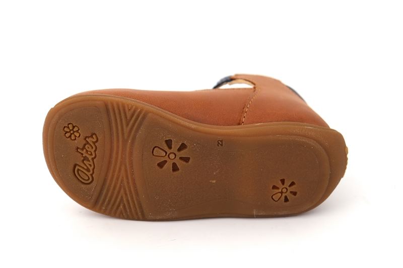 Aster babies odjumbo marron7019302_5