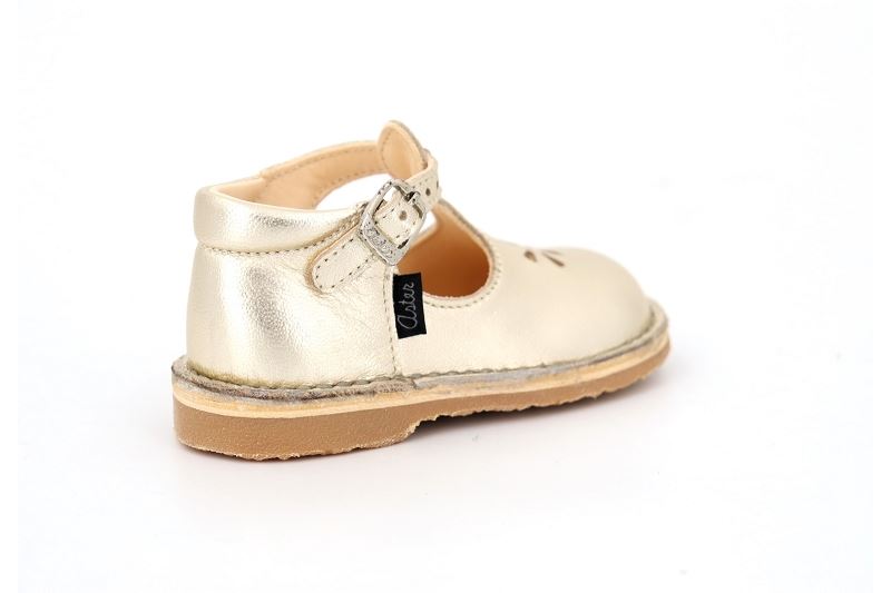 Aster babies bimbo dore7019407_4