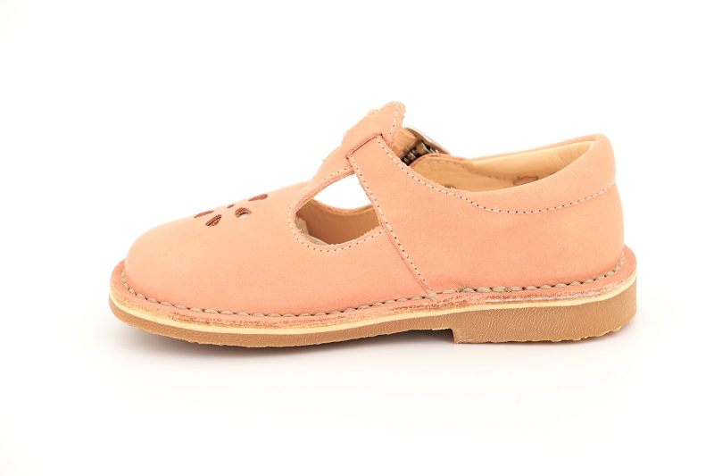 Aster babies dingo rose7019504_3