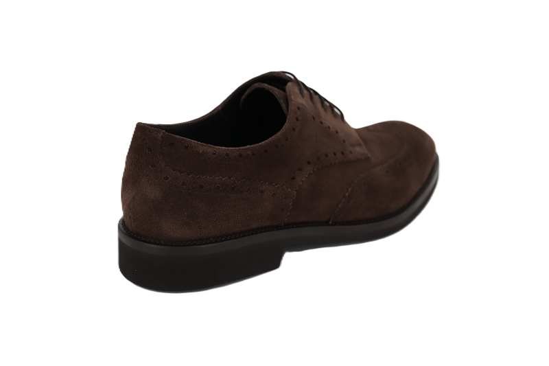 Cervone h derbies bufalo marron7917601_4