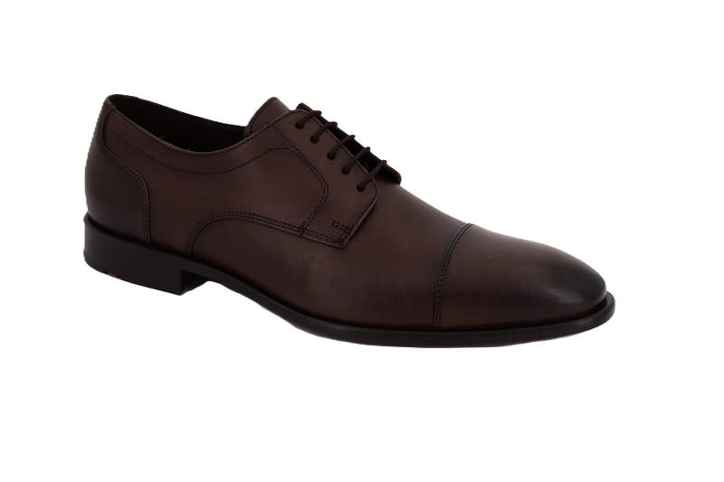 Lloyd derbies leno 120 marron7923102_2