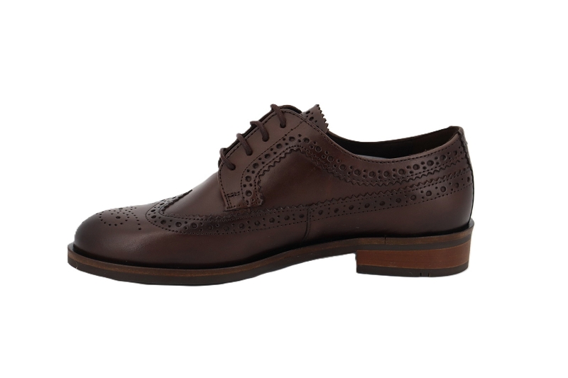 Lloyd f derbies welkin marron7923401_3